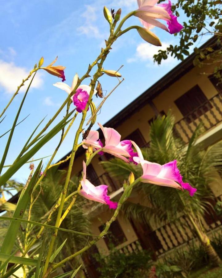 Pouso Bom Retiro Hotel Parati Exterior foto